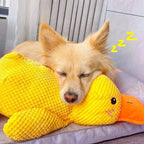 Zooflex DuckyBuddy – Plush Dog Chew Toy