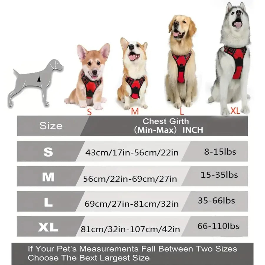 ZooFlex Adjustable Dog Harness & Leash Set for Small & Medium Dogs