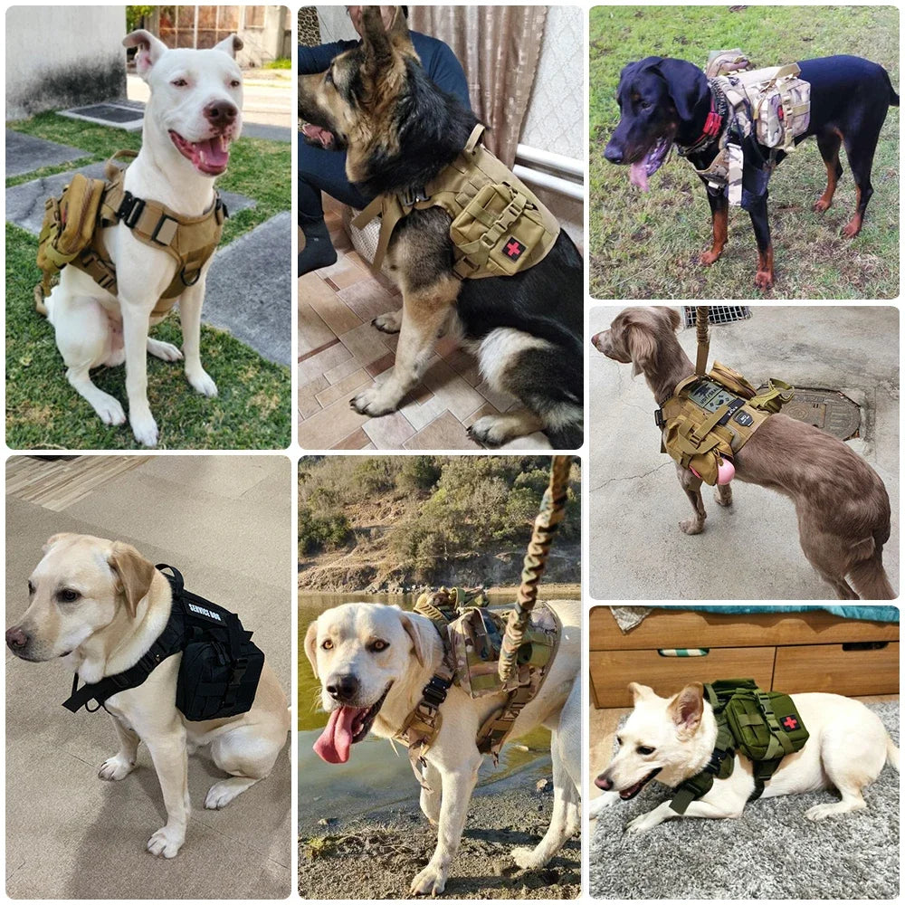 ZooFlex Military Tactical Dog Harness with MOLLE Pouch, Collar & Leash