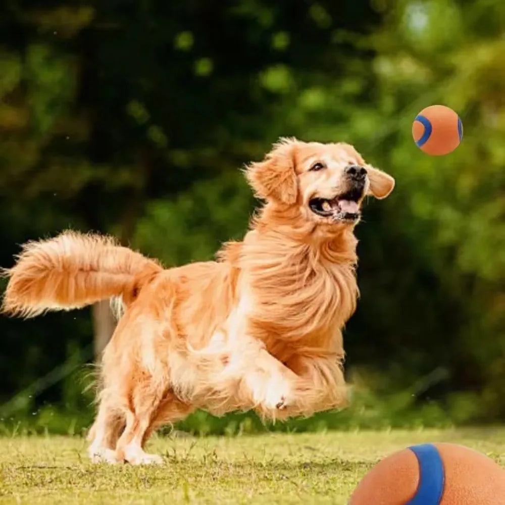 Zooflex BounceMax – Tough Bouncy Dog Ball