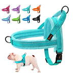 ZooFlex Warm Winter Dog Harness – Soft Padded Adjustable Vest for Small & Large Dogs
