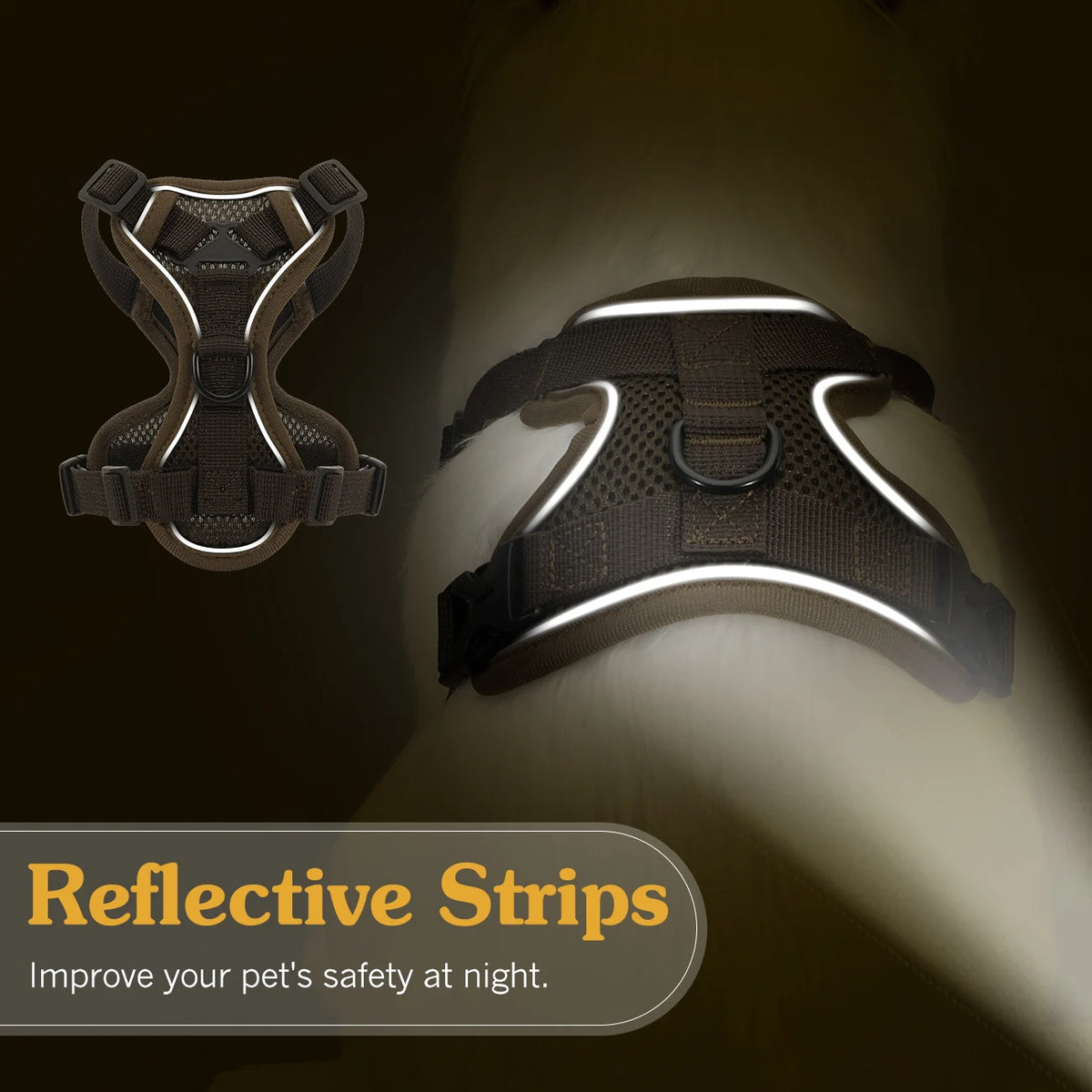ZooFlex Cat Harness & Leash Set – Reflective Mesh Walking Vest