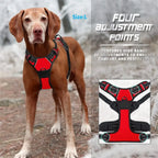 ZooFlex Adjustable Dog Harness & Leash Set for Small & Medium Dogs