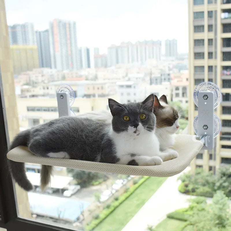 ZooFlex Foldable Cat Window Hammock – Suction Cup Window Perch