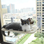 ZooFlex Foldable Cat Window Hammock – Suction Cup Window Perch