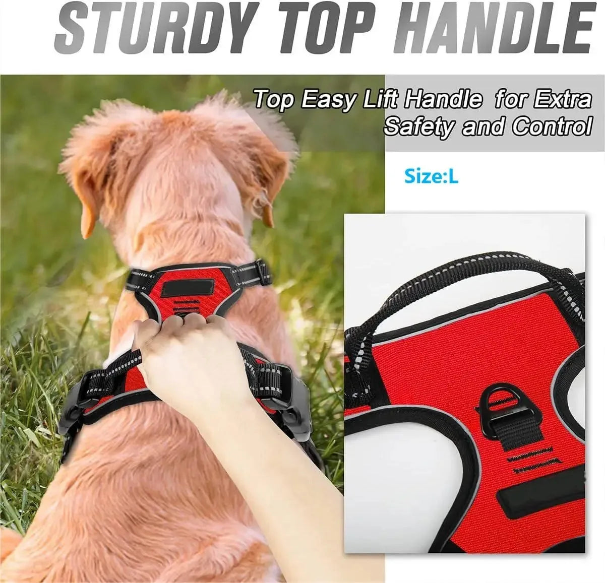 ZooFlex Adjustable Dog Harness & Leash Set for Small & Medium Dogs