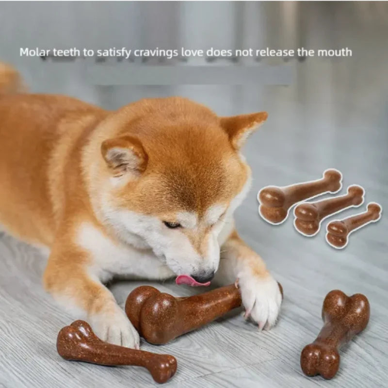 ZooFlex Durable Dog Bone Chew Toy – Tough Puppy Chewing Toy
