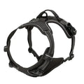 ZooFlex Adjustable Dog Harness & Leash Set for Small & Medium Dogs