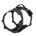 ZooFlex Adjustable Dog Harness & Leash Set for Small & Medium Dogs
