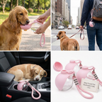 Sphere 2-in-1 Dog Water Bottle