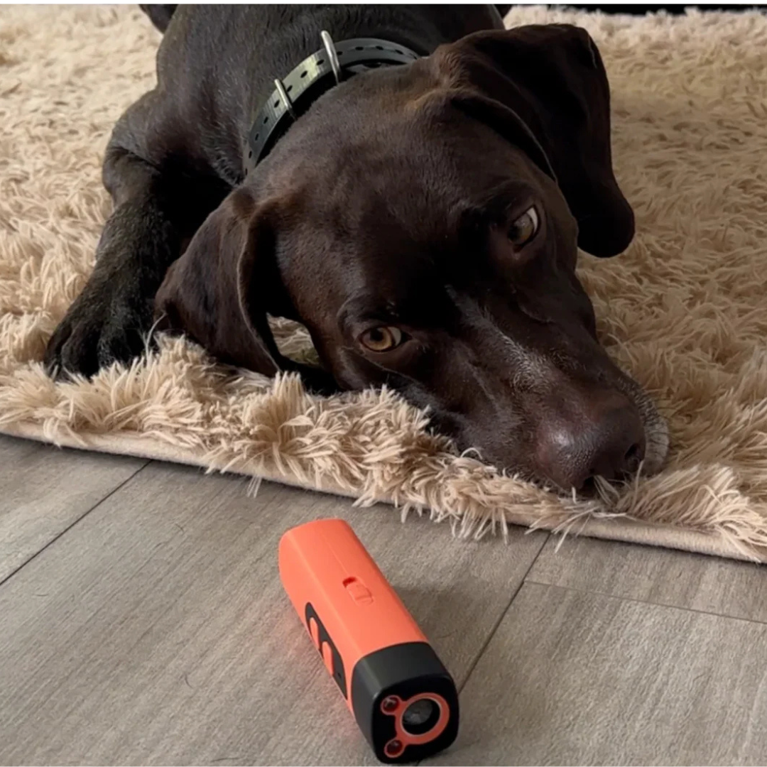 BarkProtection - Dog-friendly anti-bark ultrasonic device