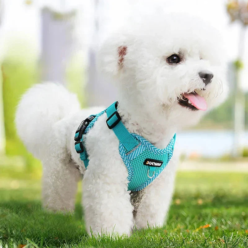 Reflective Dog Harness and Leash Set SafeStep
