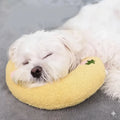 Dog sleeping on ergonomic support pillow