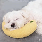 Dog sleeping on ergonomic support pillow