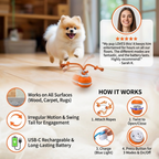 Durable Dog Play Ball with Motion Sensor and Tug Rope in Dog-Friendly Colours
