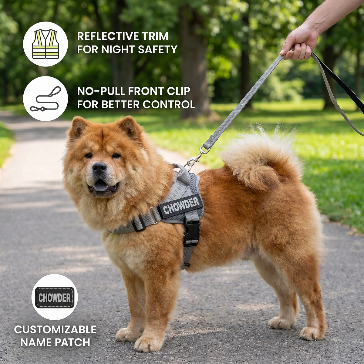 Personalized Reflective No-Pull Dog Harness