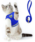 Explorer Harness with Leash