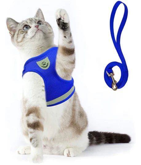 Explorer Harness with Leash