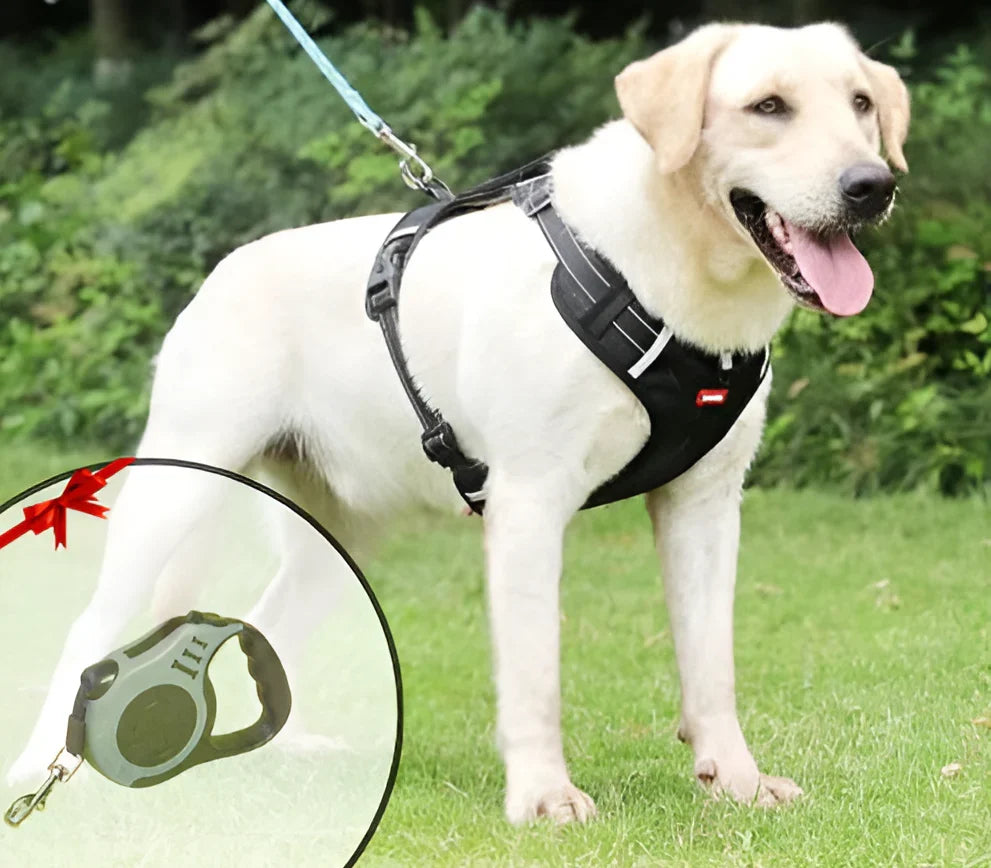 NoPull Dog Harness WalkEase
