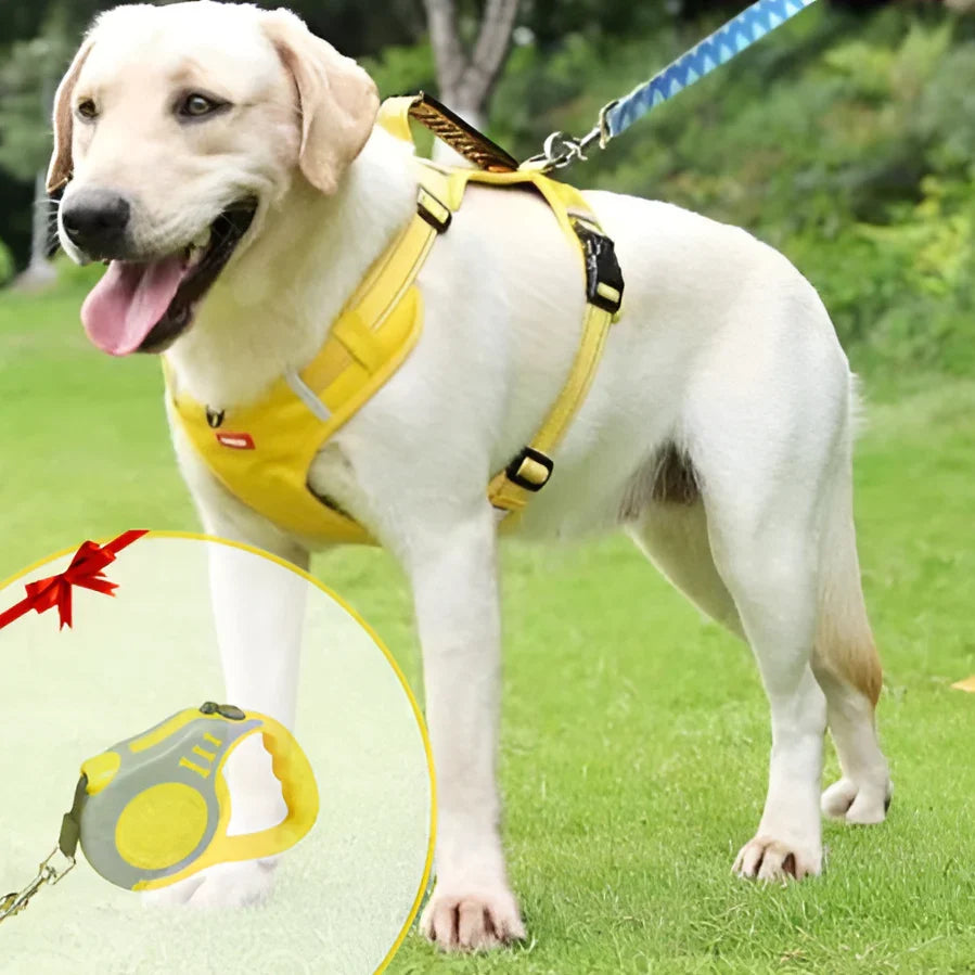NoPull Dog Harness WalkEase