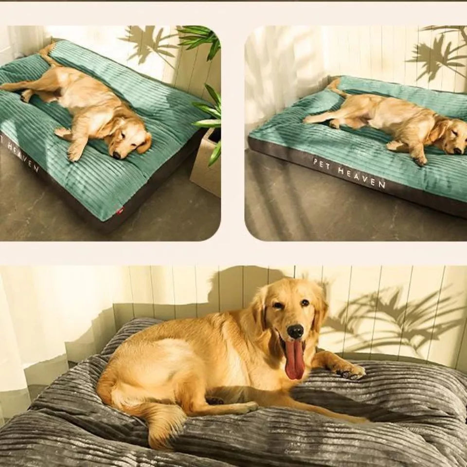 RelaxPaw Orthopedic Dog Bed