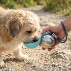2-in-1 Dog Travel Water Bottle