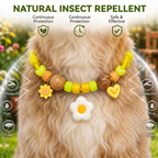 Cute Collar with Insect Repellent for Dogs